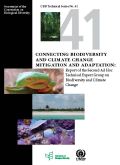 Cuaderno Técnico del CDB N º 41 Biodiversity and Climate Change Mitigation and Adaptation: Report of the Second Ad Hoc Technical Expert Group on Biodiversity and Climate Change.